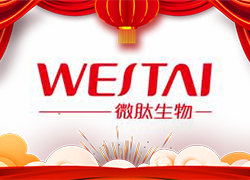 金龍送福，開門大吉！廣州微肽給您拜年了！
