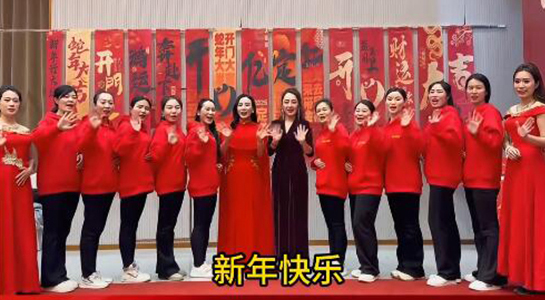 蛇年好運(yùn)至，幸福滿人間！飛斯達(dá)祝您百事從歡，一路向陽！