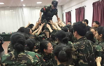 單槍匹馬難跨越，百人抱團筑長城！